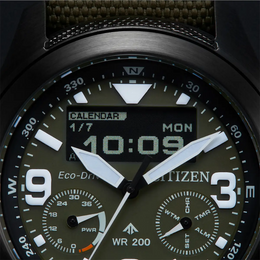 Citizen Promaster Eco Drive Combination