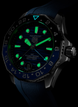 TAG Heuer Aquaracer Professional 300 GMT Rubber