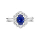 18ct White Gold 0.98ct Sapphire 0.40ct Diamond Flower Cluster Ring FEU-1687