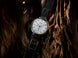 Seiko Presage Watch 110th Anniversary Laurel Limited Edition D