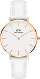 Daniel Wellington Watch Classic Petit Bondi DW00100189