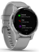 Garmin Watch Vivoactive 4S Powder Grey with Silver