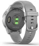 Garmin Watch Vivoactive 4S Powder Grey with Silver